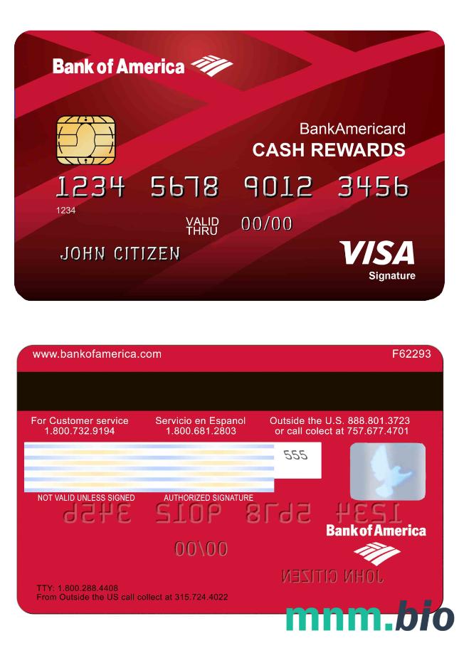 USA Bank of America Visa karta 1
